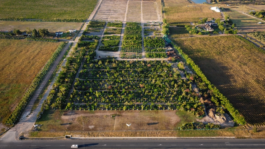 Commercial Property for Sale in Stellenbosch Farms Western Cape